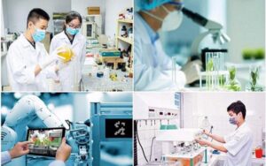Các lĩnh vực ứng dụng cụ thể